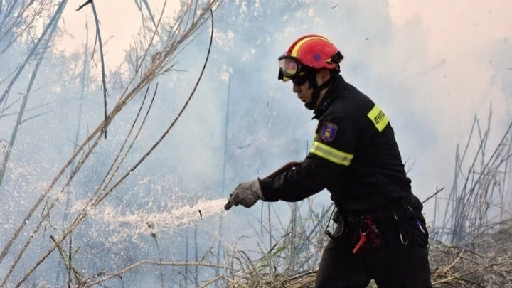 Λάρισα: Μεγάλη πυρκαγιά κατακαίει ελαιόδενδρα